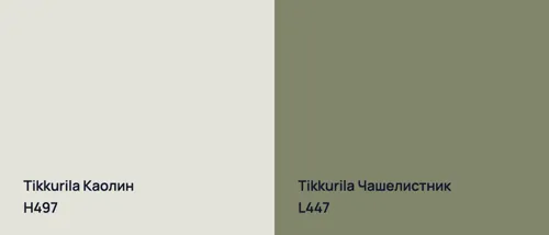 H497 Каолин vs L447 Чашелистник