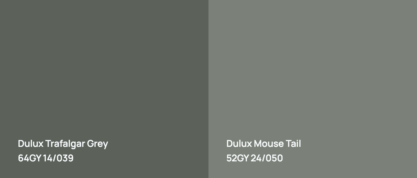 Dulux Trafalgar Grey 64GY 14/039 vs Dulux Mouse Tail 52GY 24/050