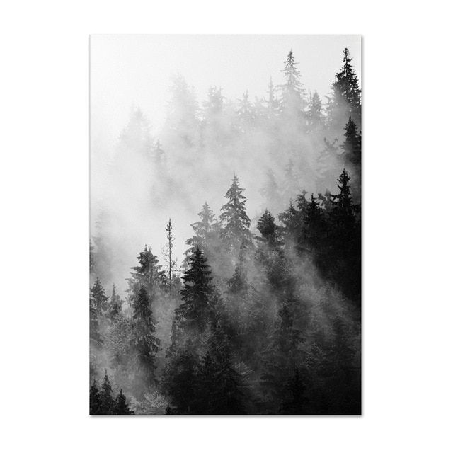 Постер. Лес в тумане, черно-белый, 40х60см