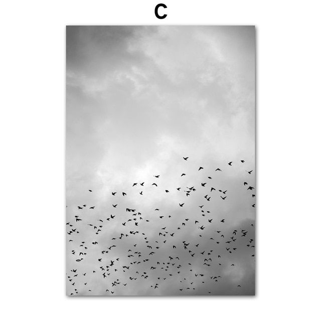 Постер Небо и птицы, черно-белый, 50х70см